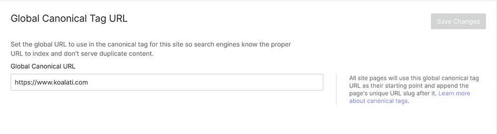 Screenshot of Webflow's interface, which says: Global Canonical Tag URL. Set the global URL to use in the canonical tag for this site so search engines know the proper URL to index and don't serve duplicate content. All site pages will use this global canonical tag URL as their starting point and append the page's unique URL slug after it.